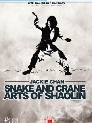 枳积通积枳免费全本2025最新章节