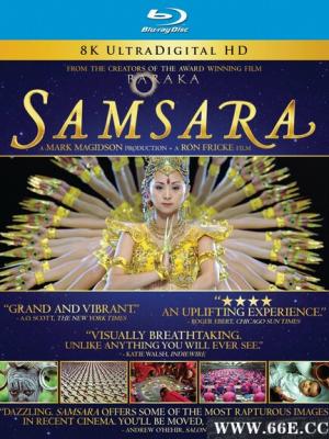 被苏娥皇做局了