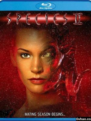 炮阁导航官方版下载