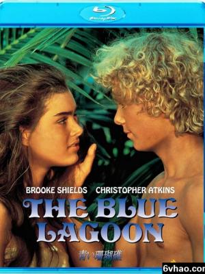 开心五月天成人网