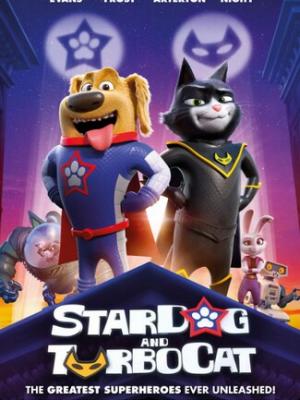 xyxycc官方网站进入