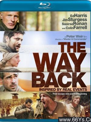 9.1免费版安装玫瑰官方