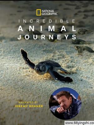 爱液nba在线观看免费观看视频外国