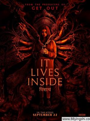 富豪CEO被大象踩踏身亡