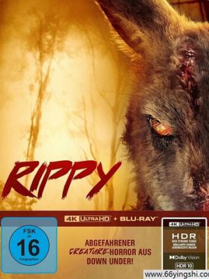 疯产姐妹近30日掉粉超19万