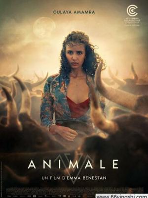 朱正廷家里着火了