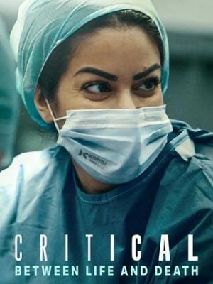 王安宇挤不进的圈子别硬融