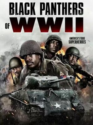 不用下载直接看ph免费网